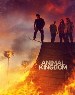 Animal Kingdom Stagione 1