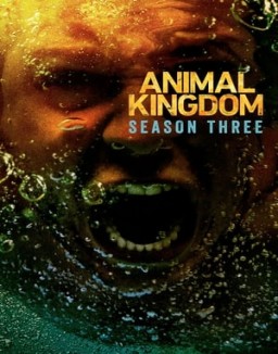 Animal Kingdom Stagione 3