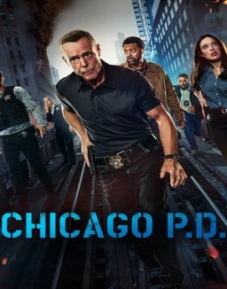 Chicago P.D. Stagione 1