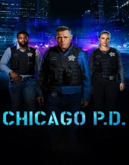 Chicago P.D. Stagione 11