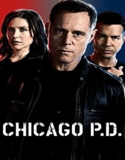 Chicago P.D. Stagione 2