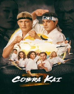 Cobra Kai Stagione 1