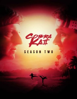 Cobra Kai Stagione 2