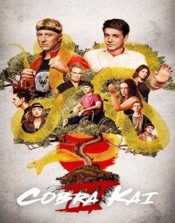 Cobra Kai Stagione 3